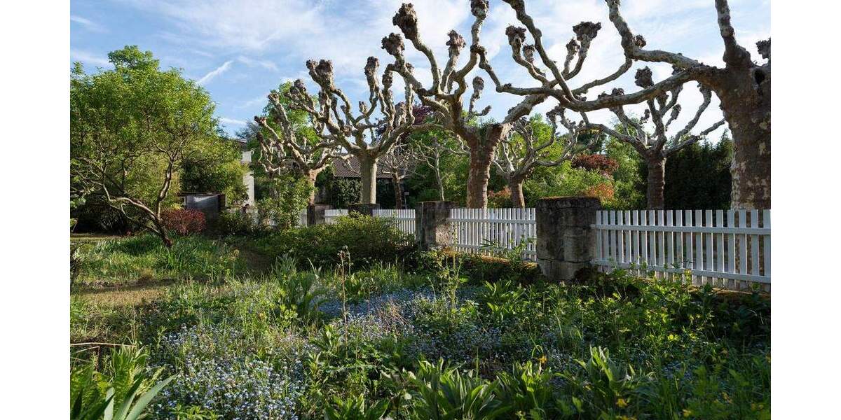 Mehrfamilienhaus, Wohnhaus Darmstadt Eberstadt - 7 Zimmer, 160 m&sup2;, 1.495.000&euro; | Angebot:23961720