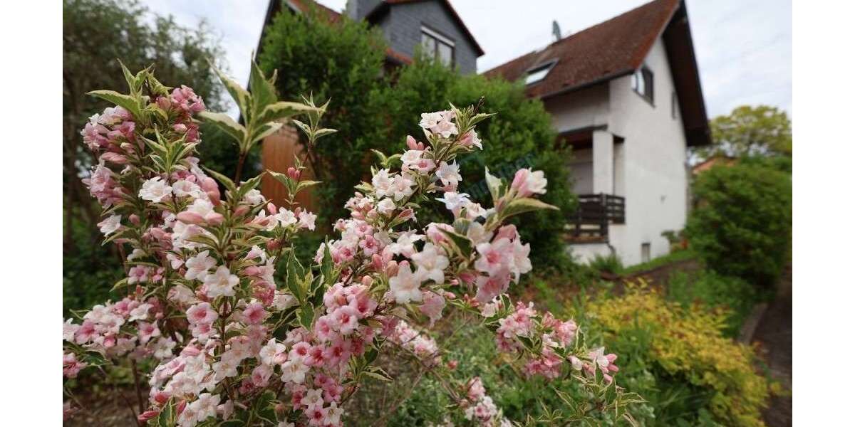Etagenwohnung Pfungstadt - 2 Zimmer, 66 m&sup2;, 700&euro; | Angebot:26674668