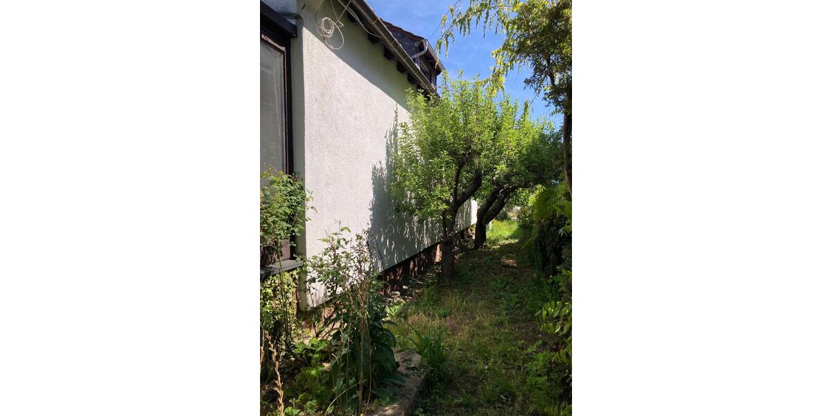 Einfamilienhaus Münster (Hessen) - 575.000&euro; | Angebot:27110519