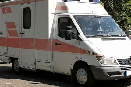 Mercedes-Benz Sprinter 310.050 km 8.990 € Frankfurt am Main 65929