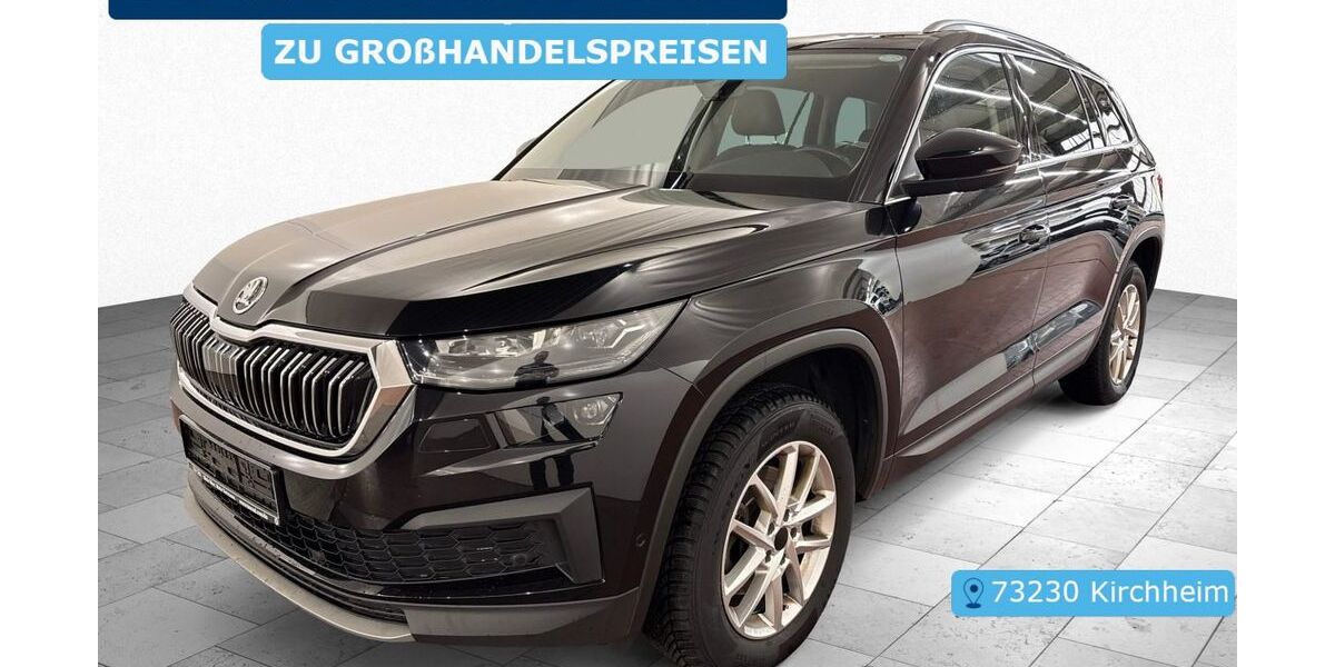 Skoda Kodiaq 132.528 km 25.207 &euro; Frankfurt 60596
