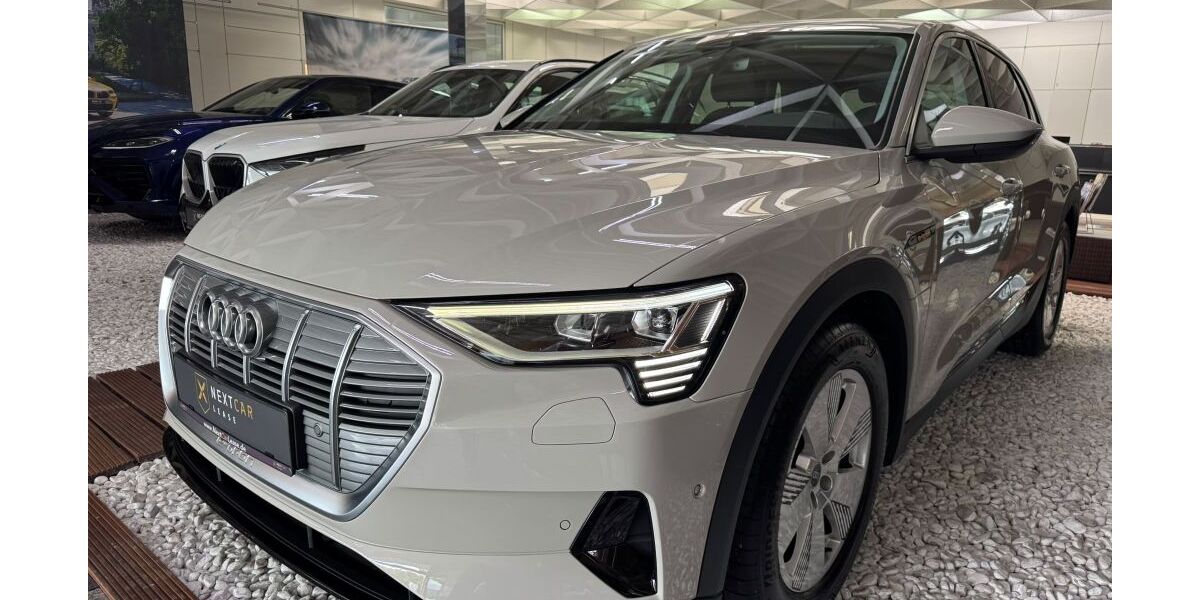Audi e-tron 118.200 km 23.490 &euro; Dieburg 64807