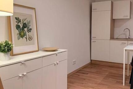 Wohnung Wiesbaden Mainz-Amöneburg - 1 Zimmer, 52 m&sup2;, 890&euro; | Angebot:26578808