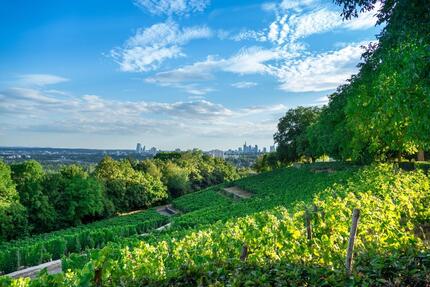 Reisemobilstellplatz im Rhein-Main-Gebiet zu verpachten zimmer