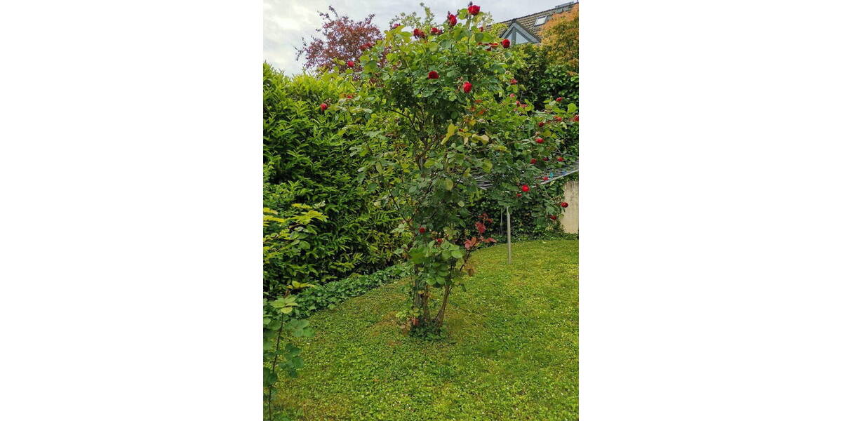 Etagenwohnung Mainz Hechtsheim - 2 Zimmer, 49 m&sup2;, 208.000&euro; | Angebot:26542407