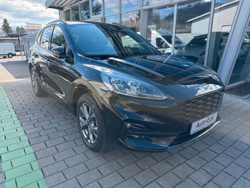 Kuga