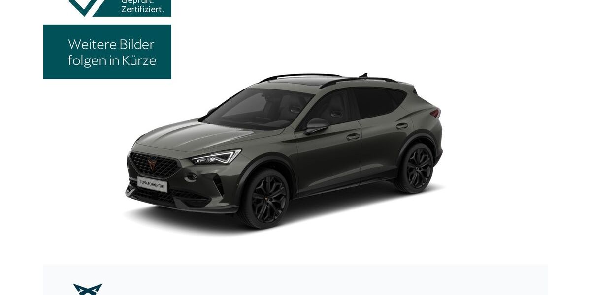 Cupra Formentor 17.425 km 36.930 &euro; Hofheim-Diedenbergen 65719