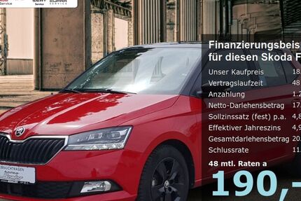 Skoda Fabia 19.576 km 18.490 &euro; Griesheim 64347