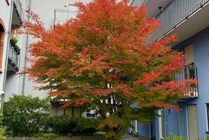 Wohnung zum Mieten in Frankfurt 1.399 € 91 m² 3 zimmer