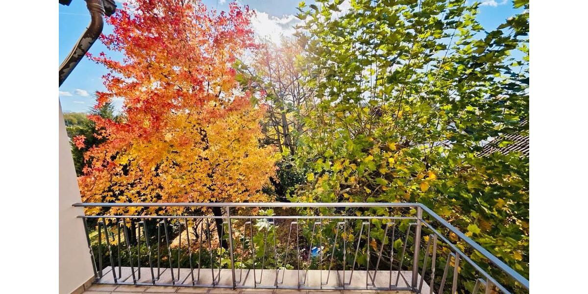 Moderne 1-2 Wohnungen 200qm sofort frei in Ober-Ramstadt Zentrum 6 zimmer