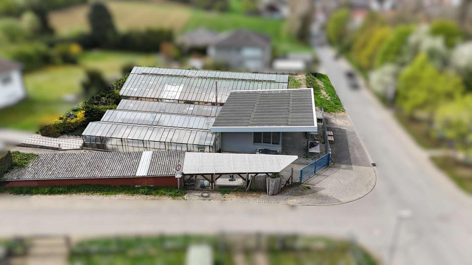 Blumenladen oder Hofladen mit Café für kreative Unternehmer zimmer