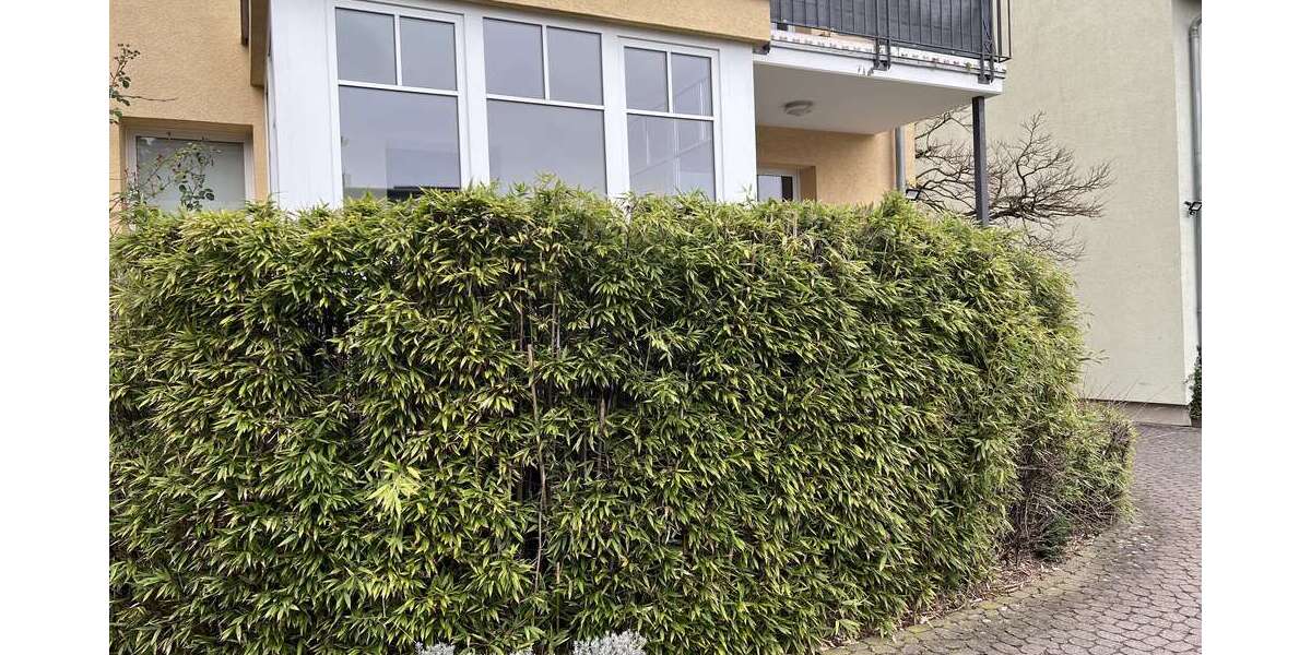 Etagenwohnung Neu Isenburg - 2 Zimmer, 59 m&sup2;, 1.035&euro; | Angebot:26847324