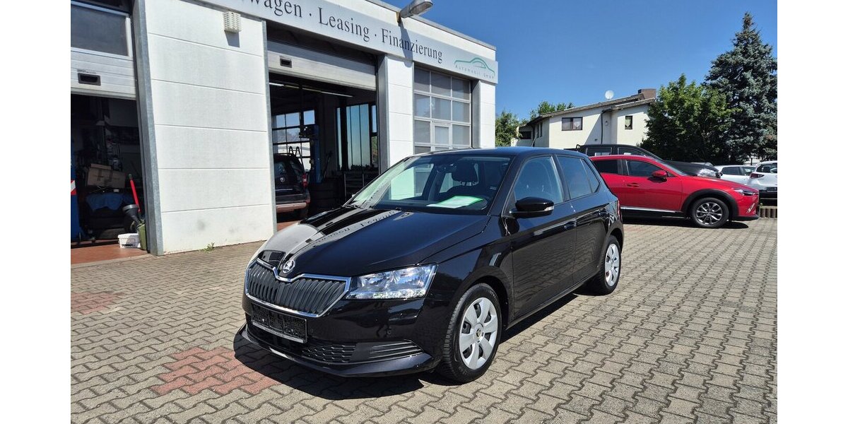 Skoda Fabia 1,0 TSI Ambition, Klima, Kamera, Carplay, Na 41.400 km 14.890 &euro; Rodgau 63110