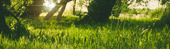 Felsenmeer als Freizeitaktivität