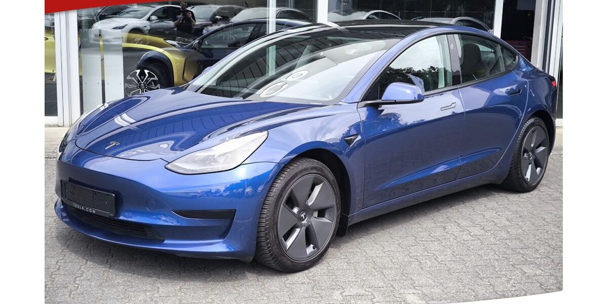 Tesla Model 3 132.000 km 20.950 &euro; Dieburg 64807