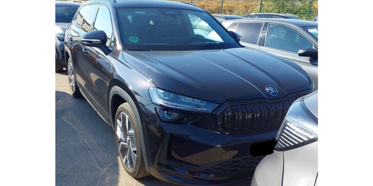 Skoda Kodiaq 24.783 km 40.780 &euro; Rüsselsheim 65428