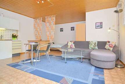 Wohnen auf Zeit in Oppenheim 430 € 1 zimmer