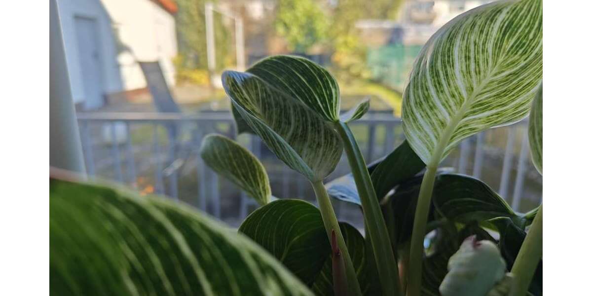 Einfamilienhaus Darmstadt Darmstadt-West - 7 Zimmer, 181 m&sup2;, 749.000&euro; | Angebot:25298895