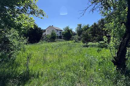 Grundstück Zwingenberg - 650.000&euro; | Angebot:27120635