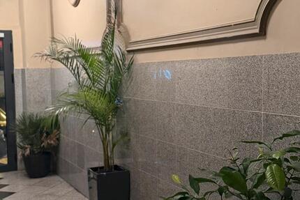 Appartement im Herzen von Frankfurt 1 zimmer