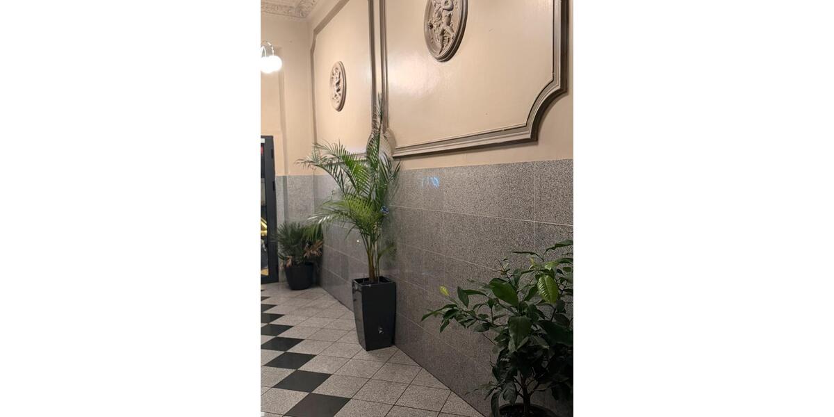 Appartement im Herzen von Frankfurt 1 zimmer