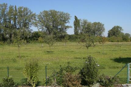 Wohnung Riedstadt - 1.030&euro; | Angebot:25613913