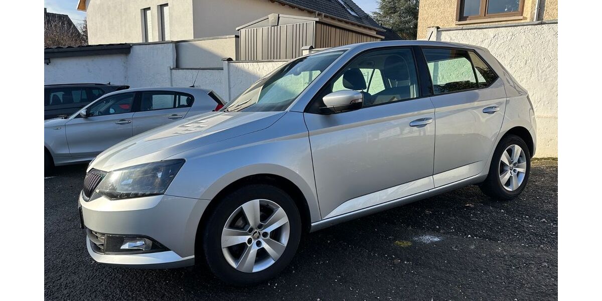 Skoda Fabia 122.964 km 8.500 &euro; Hofheim am Taunus 65719