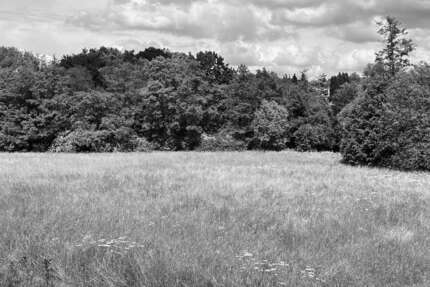 Grundstück zu verkaufen in Frankfurt am Main 4.200.000 € 5084 m² zimmer