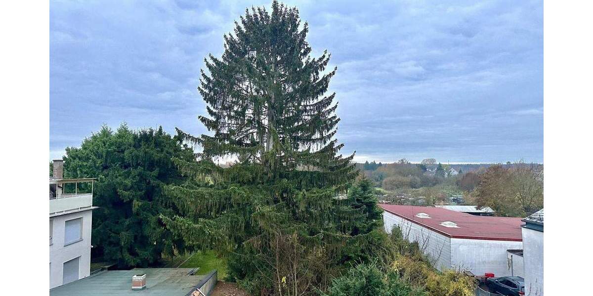 Mehrfamilienhaus, Wohnhaus Offenbach Bieber - 6 Zimmer, 150 m&sup2;, 699.000&euro; | Angebot:24043232