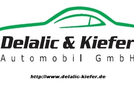 VW Tiguan 2,0l TDI Team BM, Panorama, AHK
