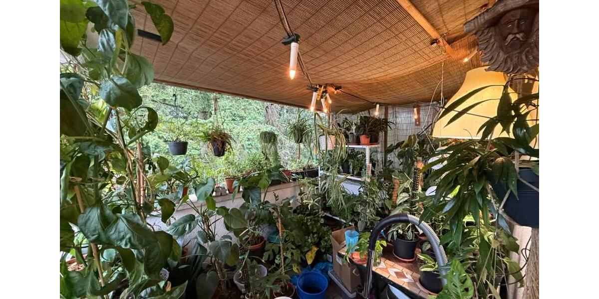 Dachgeschoßwohnung Griesheim - 2 Zimmer, 70 m&sup2;, 900&euro; | Angebot:25384846