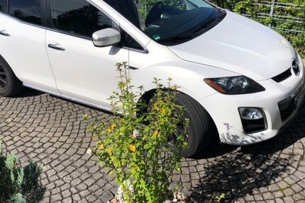 Mazda CX-7 148.450 km 6.400 € Münster Hessen 64839