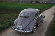 Gebrauchtwagen VW Käfer