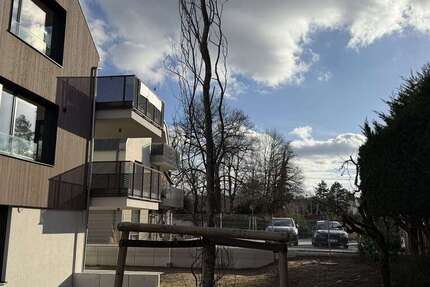 Wohnung zum Mieten in Darmstadt 2.300 € 128 m² 3 zimmer