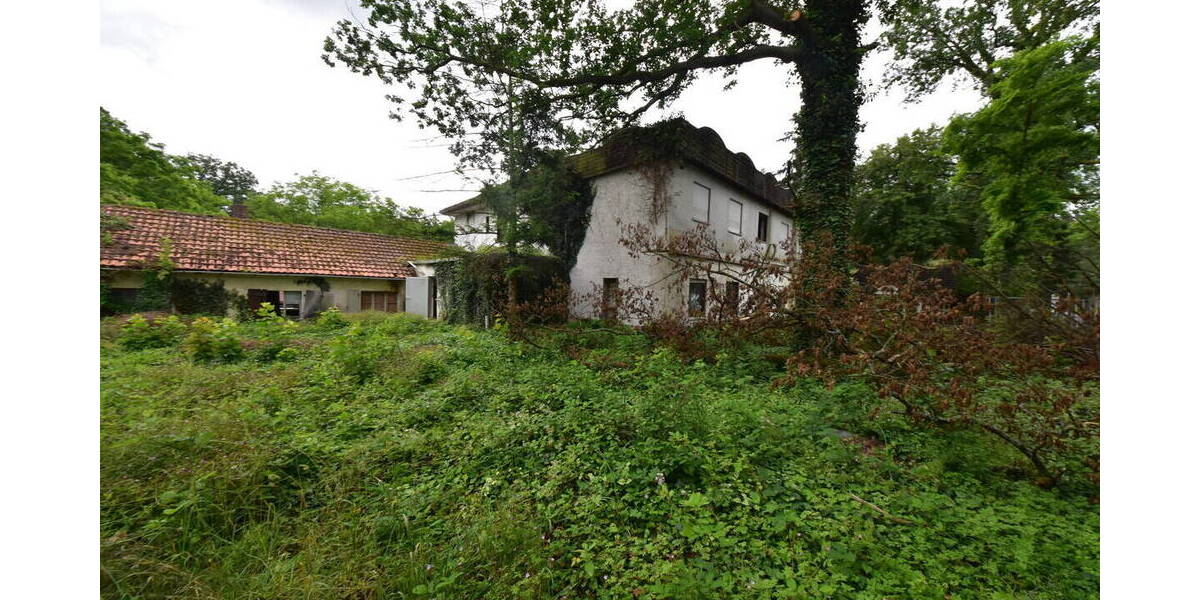 Gewerbeobjekt Babenhausen - 495.000&euro; | Angebot:23951666