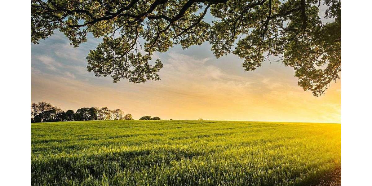 Sofort bebaubares Grundstück in bester Lage in der Nordstadt II zimmer