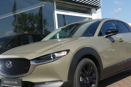 Mazda CX-30 2.500 km 29.990 € Groß-Umstadt 64823