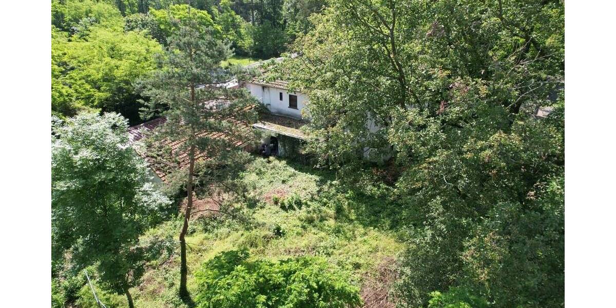 Gewerbeobjekt Babenhausen - 495.000&euro; | Angebot:23951666