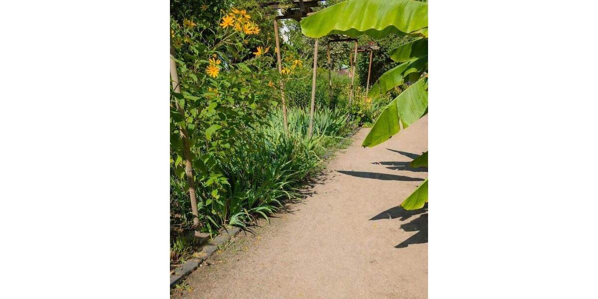 Etagenwohnung Frankfurt am Main Nordend-Ost - 3 Zimmer, 94 m&sup2;, 739.000&euro; | Angebot:25256137