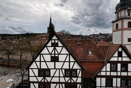 Wohnung Mainz Ebersheim - 2 Zimmer, 53 m&sup2;, 700&euro; | Angebot:25303214