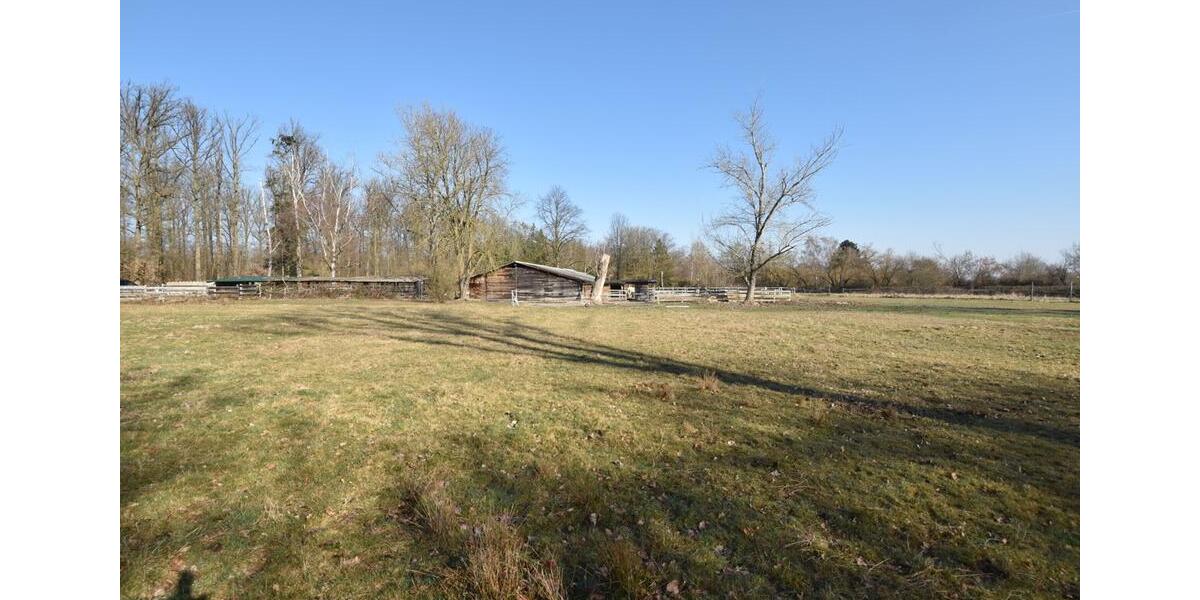 Gewerbeobjekt Seligenstadt - 1.300&euro; | Angebot:25431487