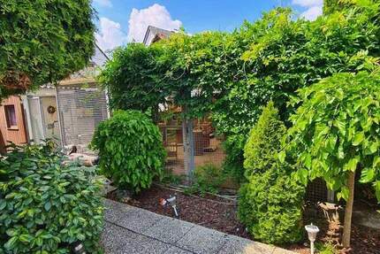 Einzigartige Gelegenheit: Etablierte Katzenpension mit 310 m² überdachtem Außenbereich und Bungalow 5 zimmer