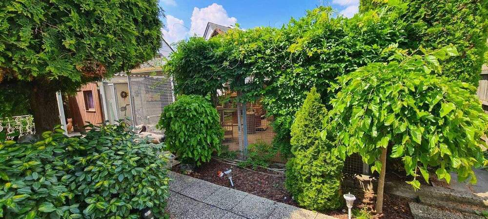 Einzigartige Gelegenheit: Etablierte Katzenpension mit 310 m² überdachtem Außenbereich und Bungalow 5 zimmer