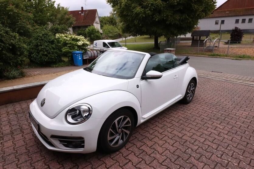 Beetle