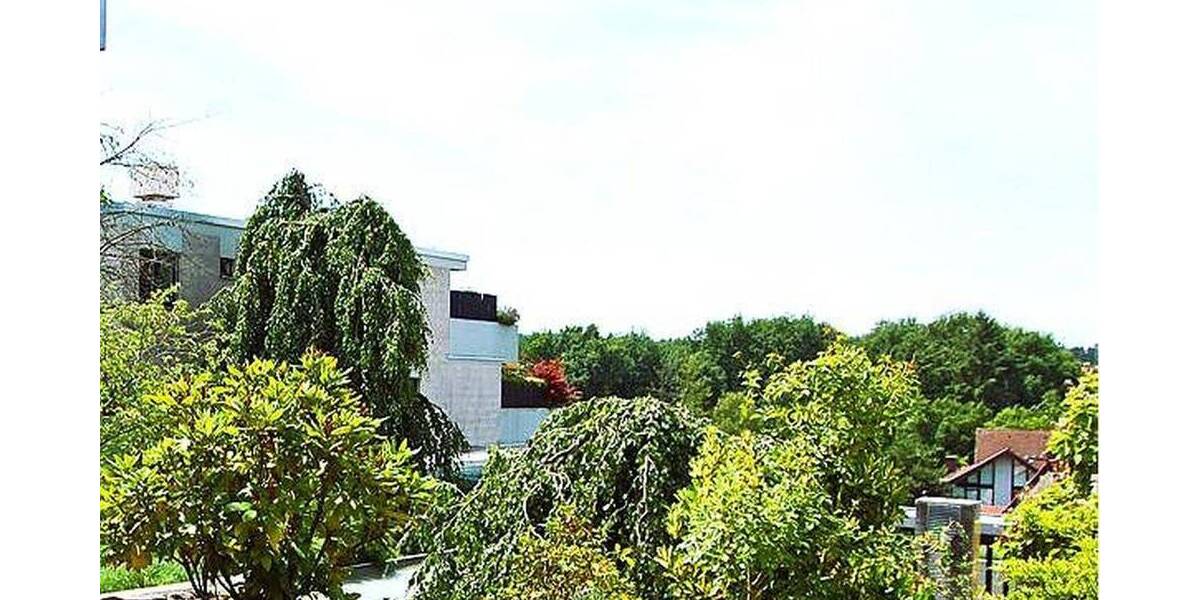 Terrassenwohnung Dreieich Dreieichenhain - 2 Zimmer, 118 m&sup2;, 425.000&euro; | Angebot:26472786