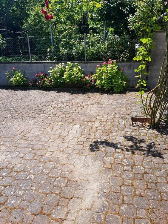 Zwei Familien Häuser zum Preis von einer zu Verkaufen