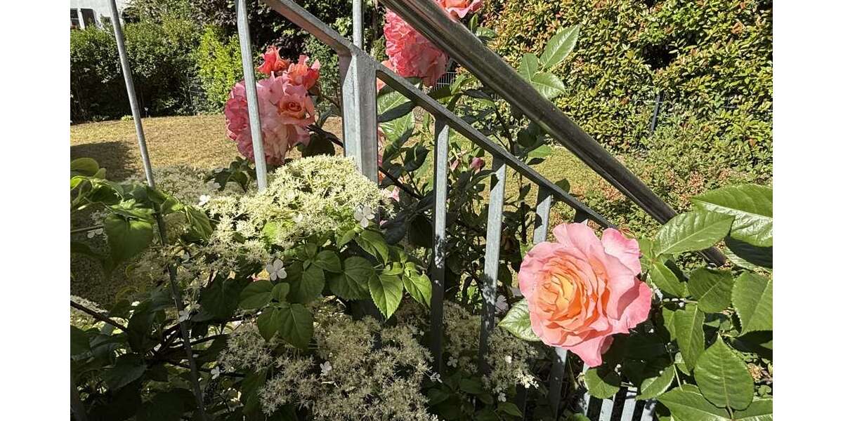 Wohnung zum Mieten in Hofheim am Taunus 1.380 € 76 m² 2 zimmer