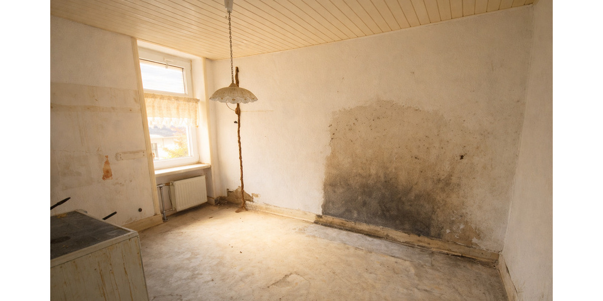 Mehrfamilienhaus, Wohnhaus Frankfurt am Main Rödelheim - 1 Zimmer, 355 m&sup2;, 1.490.000&euro; | Angebot:25601918