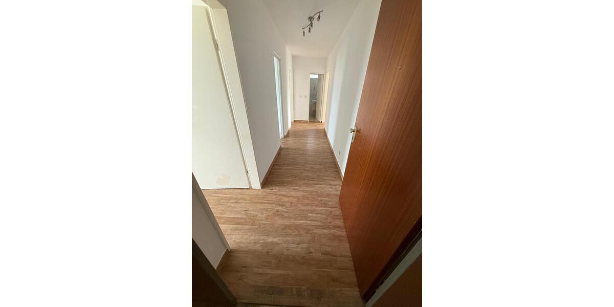 3 Zimmer Wohnung zu vermieten zimmer