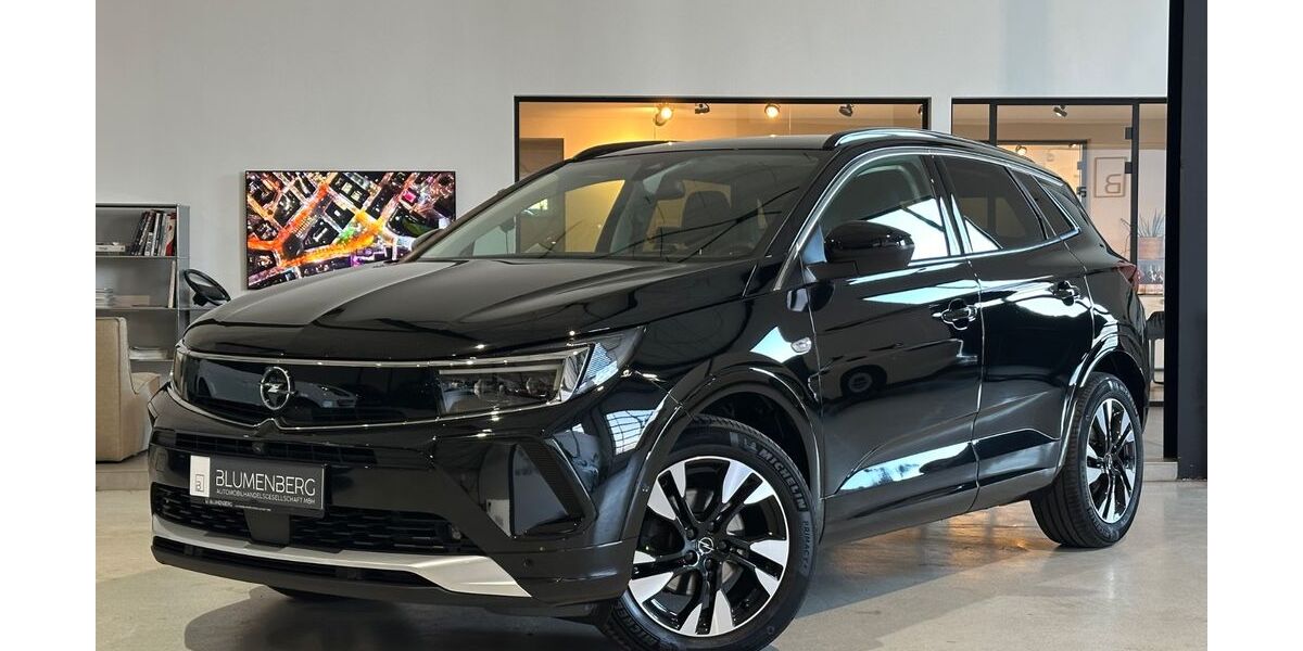 Opel Grandland (X) 109.985 km 14.980 &euro; Rodgau-Weiskirchen/nähe Frankfurt am Main 63110
